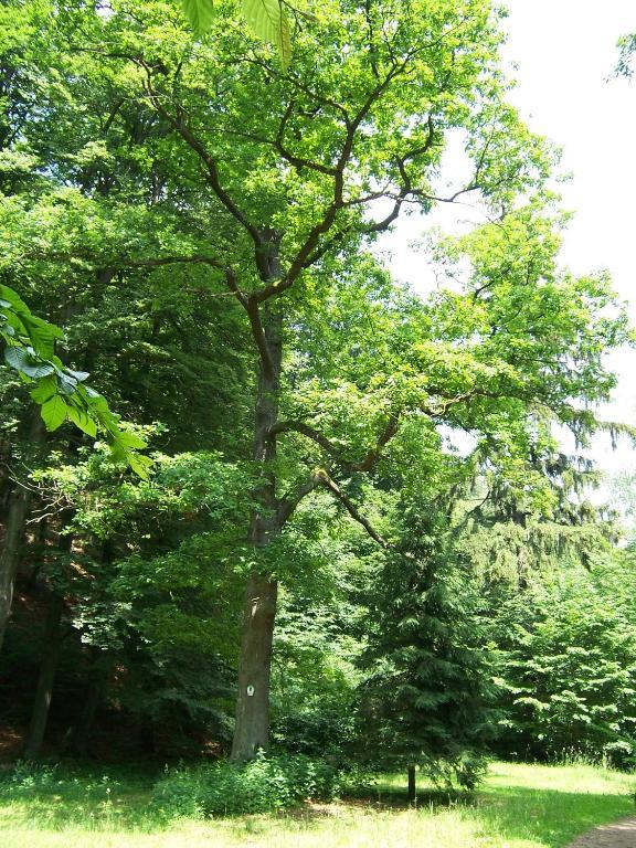 Ferienwohnung Im Stieg 4 Quedlinburg Zewnętrze zdjęcie